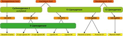 Inflammatory and Pro-resolving Lipids in Trypanosomatid Infections: A Key to Understanding Parasite Control